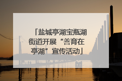 盐城亭湖宝瓶湖街道开展“善育在亭湖”宣传活动